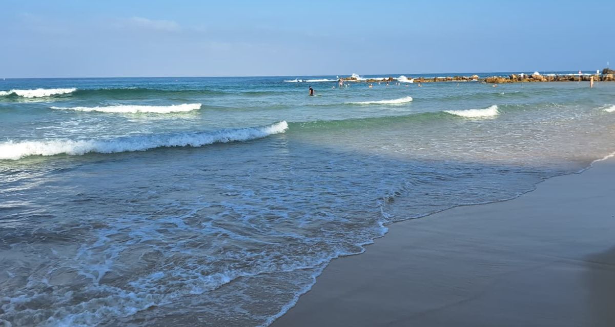 שפת הים, חוף הסלע בבת ים, צילום מישמיש בורא